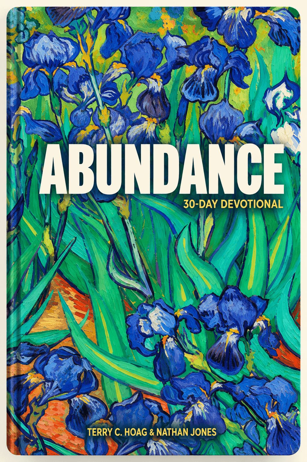 Abundance devotional cover
